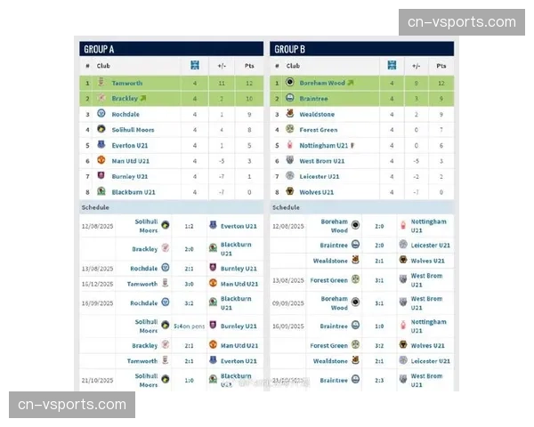 英格兰职业足球运动员协会公布本年度英超最佳年轻球员候选名单,全部为U21球员 英格兰职业足球运动员协会公布本年度英超最佳年轻球员候选名单,全部为U21球员