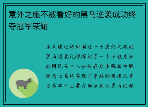 意外之旅不被看好的黑马逆袭成功终夺冠军荣耀