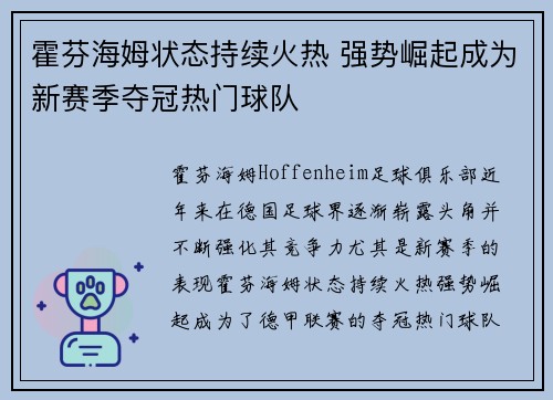 霍芬海姆状态持续火热 强势崛起成为新赛季夺冠热门球队